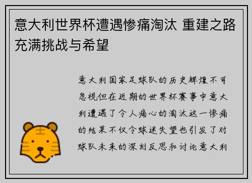 意大利世界杯遭遇惨痛淘汰 重建之路充满挑战与希望