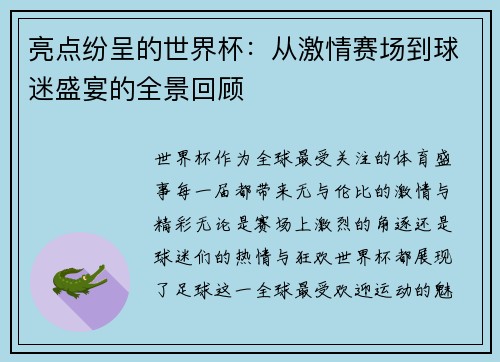 亮点纷呈的世界杯：从激情赛场到球迷盛宴的全景回顾